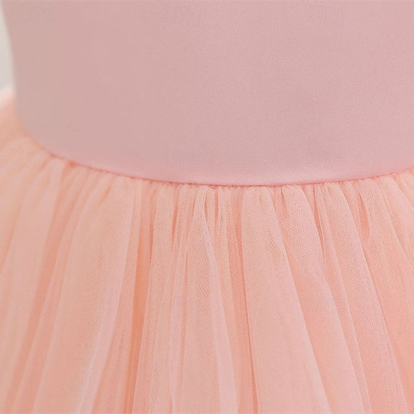 Dress Princess Girl Kid's Flower Girls' FashionChic