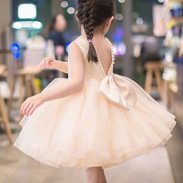 Flower Dress Girls' Kid's Girl Princess FashionChic