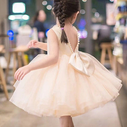 Flower Dress Girls' Kid's Girl Princess FashionChic