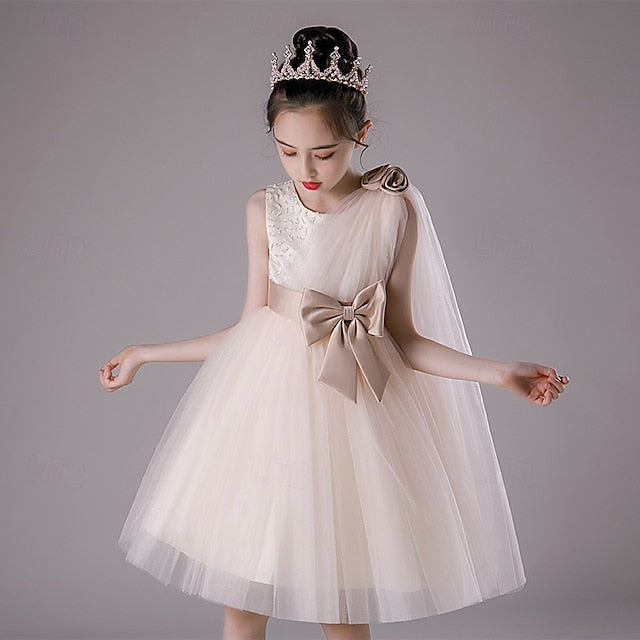 Princess Kid's Girl Flower Girls' Dress FashionChic