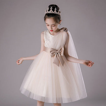 Princess Kid's Girl Flower Girls' Dress FashionChic
