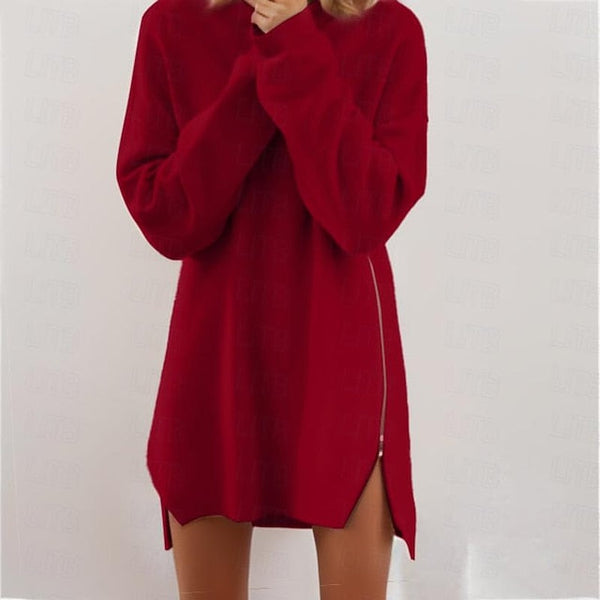 Women's Sweater Dress Jumper Dress Casual Dress Mini Dress FashionChic