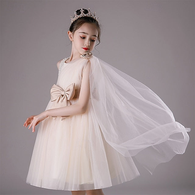 Kid's Dress Girl Princess Girls' Flower FashionChic