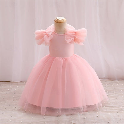 Flower Girls' Kid's Girl Princess Dress FashionChic