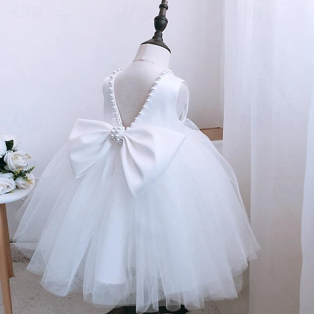 Flower Dress Girls' Kid's Girl Princess FashionChic