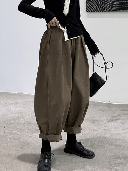 Simple Coffee Elasticity High-Waisted Pockets Pleated Harem Pants WS009 shopify