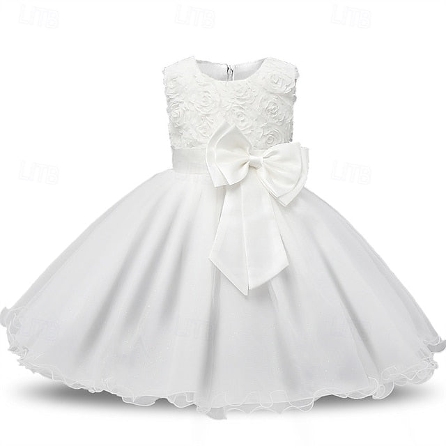 Princess Dress Girls' Kid's Girl Flower FashionChic