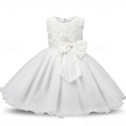 Princess Dress Girls' Kid's Girl Flower FashionChic