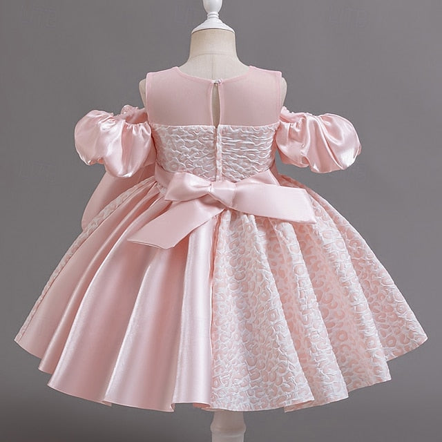 Dress Girls' Girl Wedding Formal Party Flower FashionChic