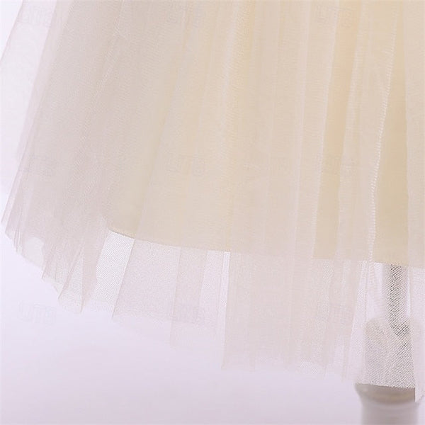 Princess Kid's Girl Flower Girls' Dress FashionChic