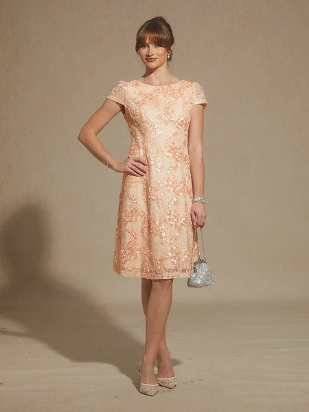 Women's Mini Dress A Line Dress Elegant Daily Wedding Guest