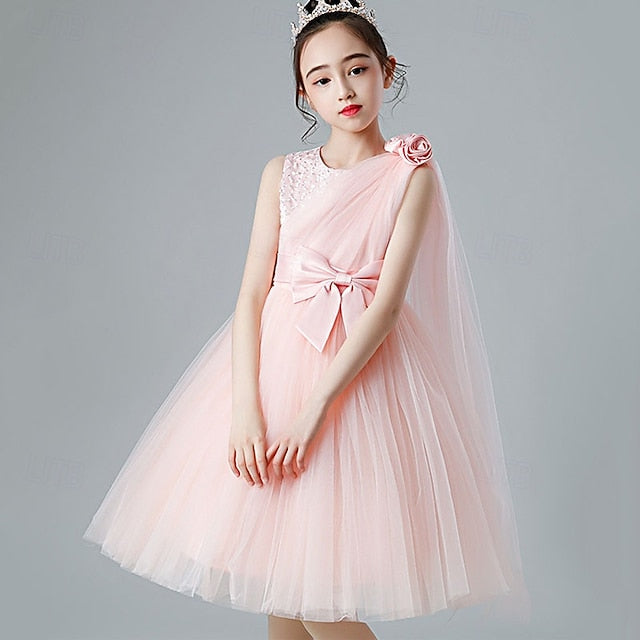 Princess Kid's Girl Flower Girls' Dress FashionChic
