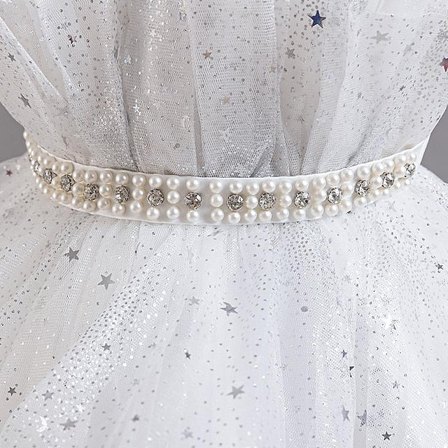 Sleeveless Dress Girls' Party Kids Girl Sequin Flower FashionChic