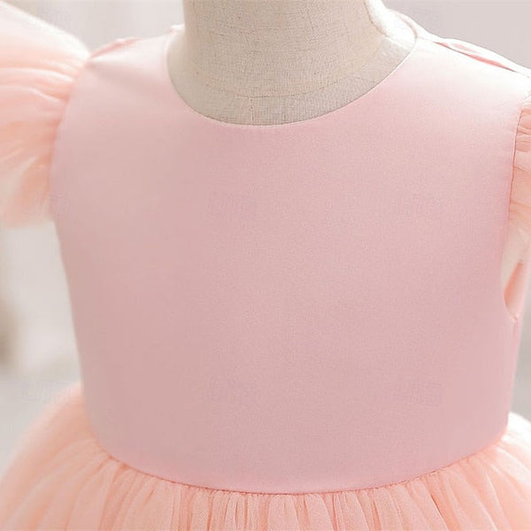 Dress Princess Girl Kid's Flower Girls' FashionChic