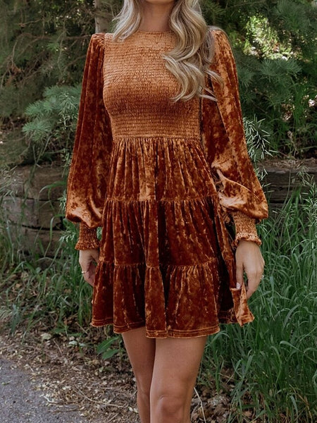 Women's Mini Dress Christmas Dress Velvet Dress Cocktail