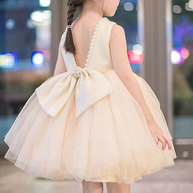 Flower Dress Girls' Kid's Girl Princess FashionChic