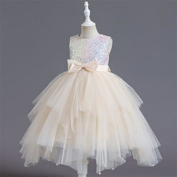 Kid's Girls' Dress Flower Girl Princess FashionChic