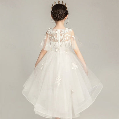 Girl Girls' Kid's Flower Princess Dress FashionChic