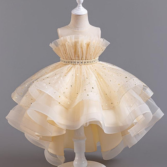 Sleeveless Dress Girls' Party Kids Girl Sequin Flower FashionChic