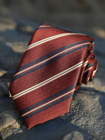 and Tie Paisley Silk Classic Men's Necktie Striped FashionChic