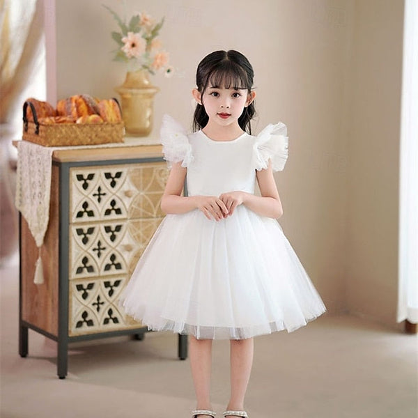 Flower Girls' Kid's Girl Princess Dress FashionChic