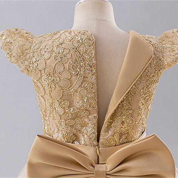 Dress Flower Princess Girls' Girl Kid's FashionChic