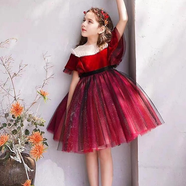 Kids Girls' Girl Party Dress Short Flower Solid Color FashionChic