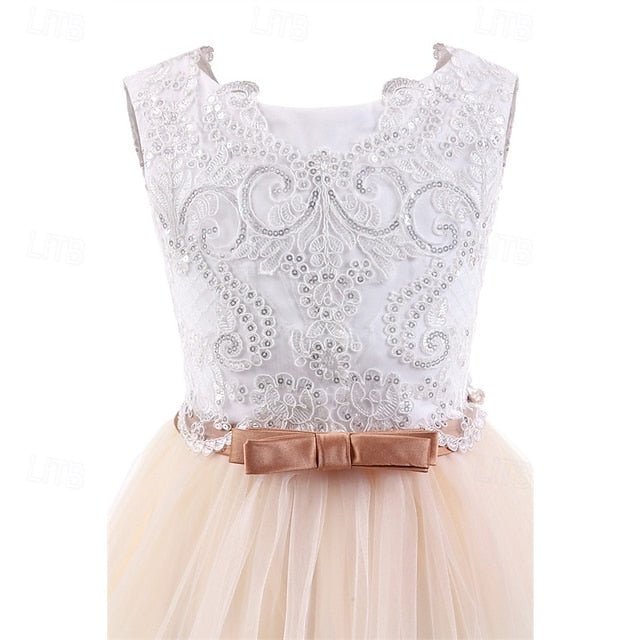 Princess Dress Kid's Girls' Girl Flower FashionChic