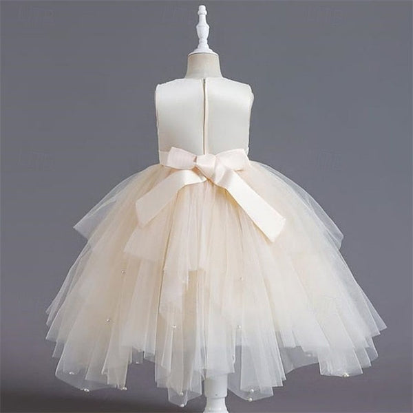 Kid's Girls' Dress Flower Girl Princess FashionChic