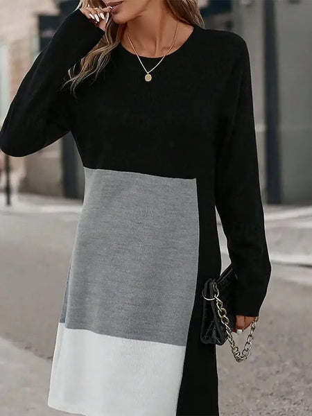 Women's Sweatshirt Dress Mini Dress Sheath Dress Party