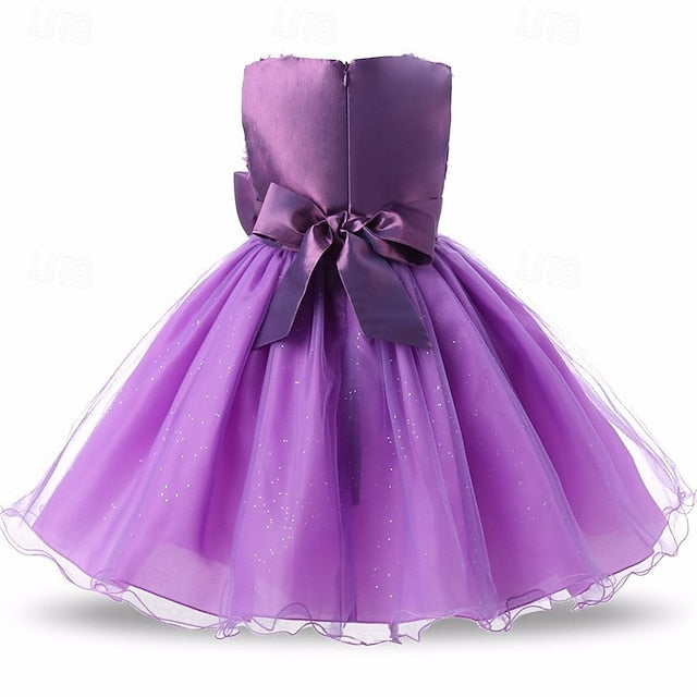 Princess Dress Girls' Kid's Girl Flower FashionChic