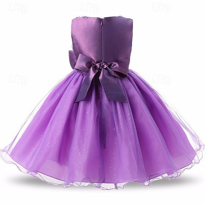 Princess Dress Girls' Kid's Girl Flower FashionChic