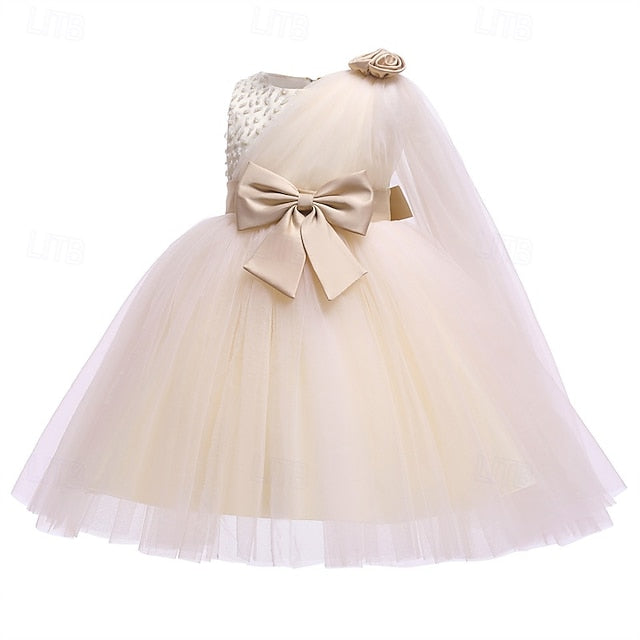 Princess Kid's Girl Flower Girls' Dress FashionChic