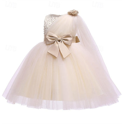 Princess Kid's Girl Flower Girls' Dress FashionChic