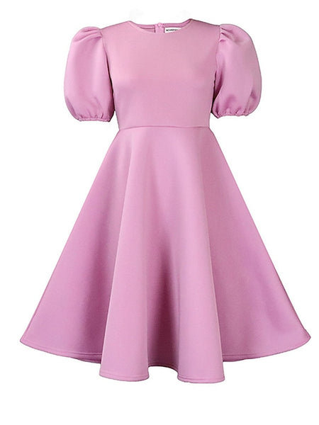 Women's Party Dress Homecoming Dress Cocktail Dress Ruched