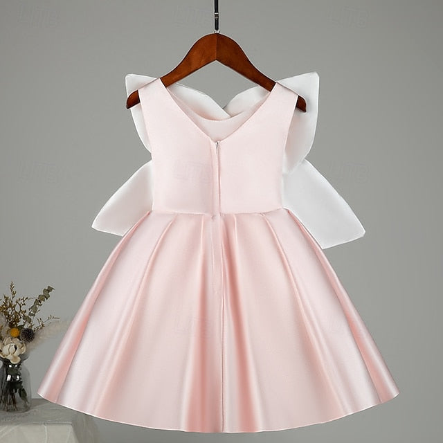 Princess Girl Flower Girls' Kid's Dress FashionChic