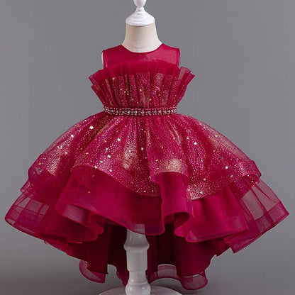 Sleeveless Dress Girls' Party Kids Girl Sequin Flower FashionChic