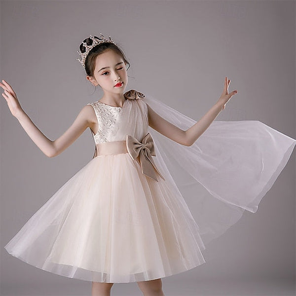 Princess Kid's Girl Flower Girls' Dress FashionChic