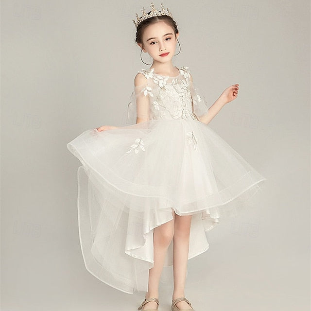 Girl Girls' Kid's Flower Princess Dress FashionChic