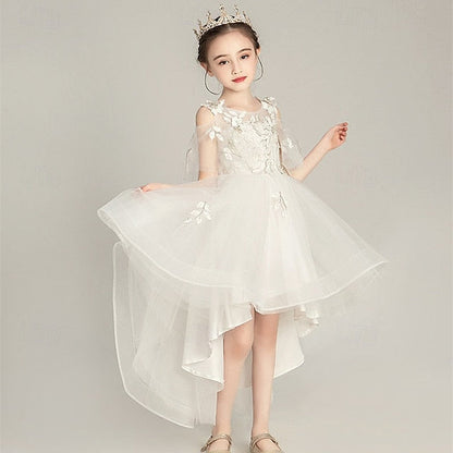 Girl Girls' Kid's Flower Princess Dress FashionChic