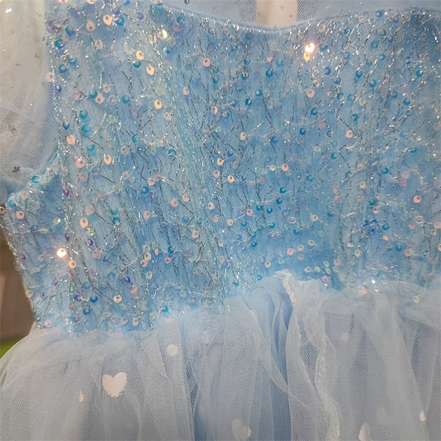 Princess Flower Elsa Cosplay Cloak Girl Frozen Dress FashionChic