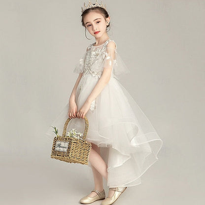 Girl Girls' Kid's Flower Princess Dress FashionChic