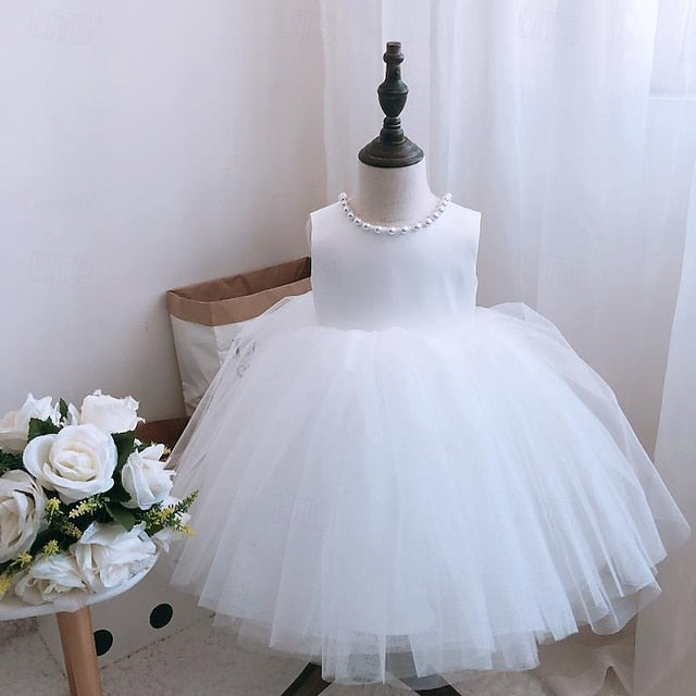Flower Dress Girls' Kid's Girl Princess FashionChic