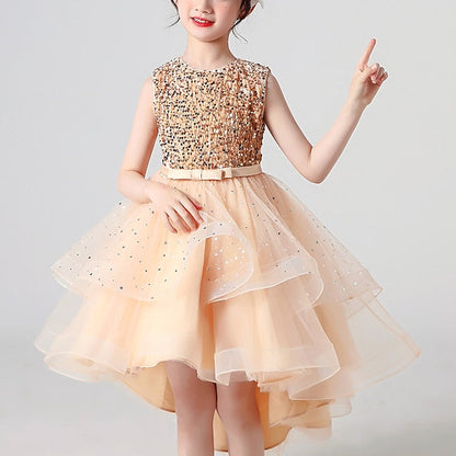 Girl Dress Girls' Party Flower Princess FashionChic