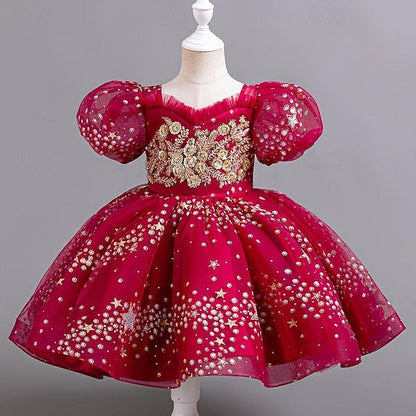 Flower Dress Kids Girl Sequin Party Girls' Floral FashionChic