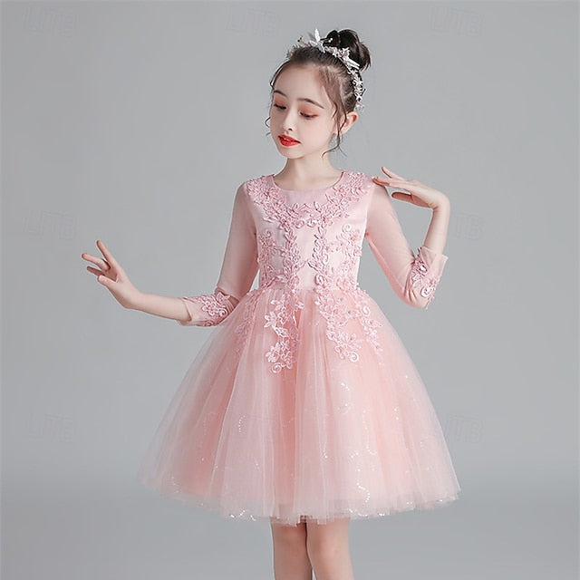 Dress Girls' Girl Princess Flower Kid's FashionChic
