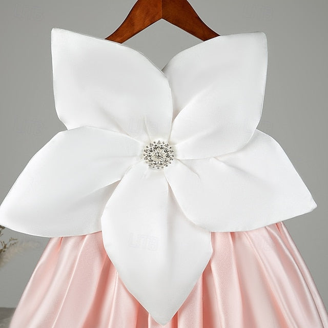 Princess Girl Flower Girls' Kid's Dress FashionChic