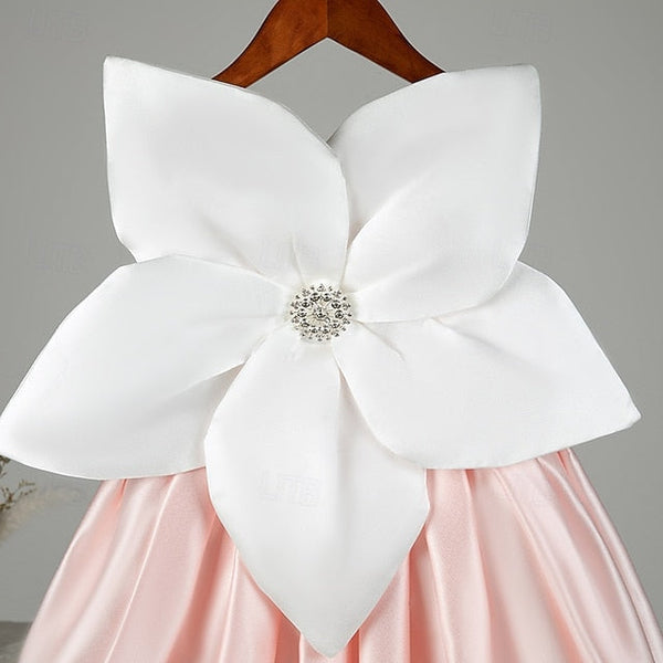 Princess Girl Flower Girls' Kid's Dress FashionChic
