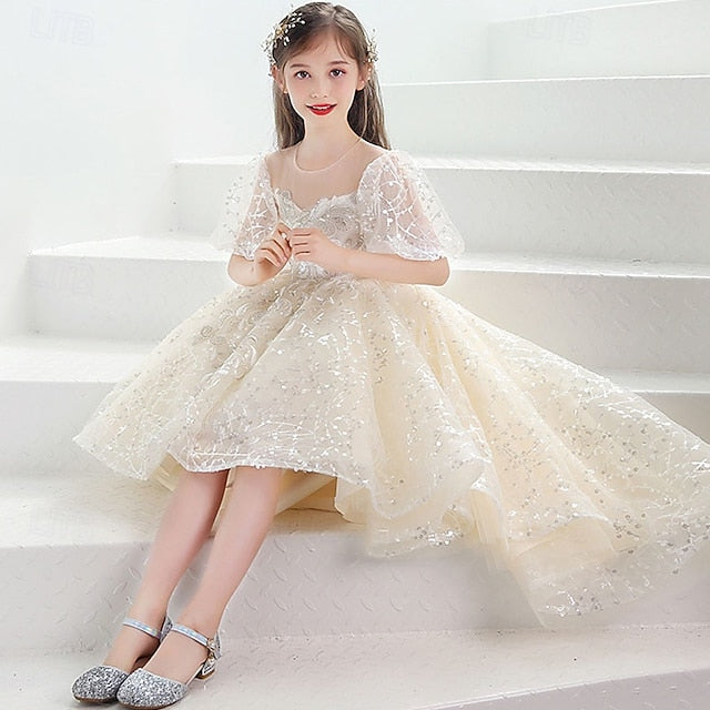 Flower Girl Kid's Girls' Princess Dress FashionChic