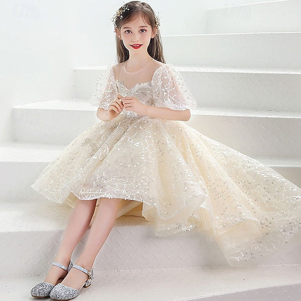 Flower Girl Kid's Girls' Princess Dress FashionChic